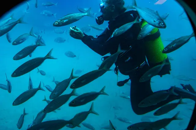 Submarine Safaris – ponorka